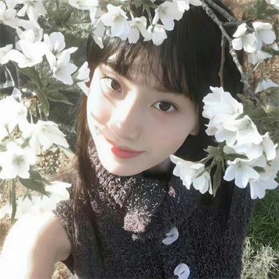 绿豚街影